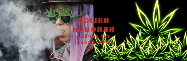 прущие грибы Бородино