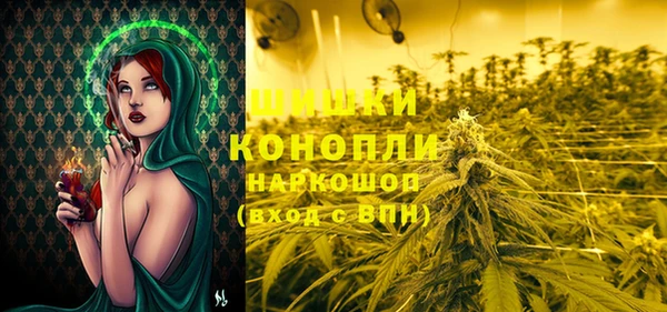 прущие грибы Бородино