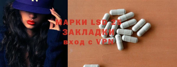 прущие грибы Бородино