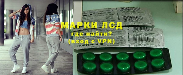 прущие грибы Бородино