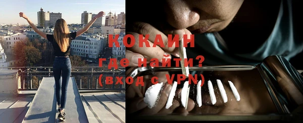 прущие грибы Бородино