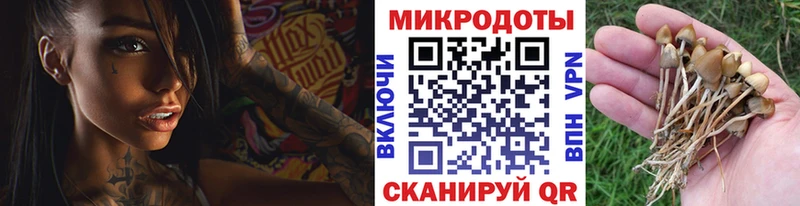 Галлюциногенные грибы мицелий  Купить  Грязовец 